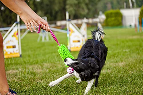 Dingo Dog Tug Toy and TPR Rubber Ball with Bungee Handle, Microfiber Green - color: Green