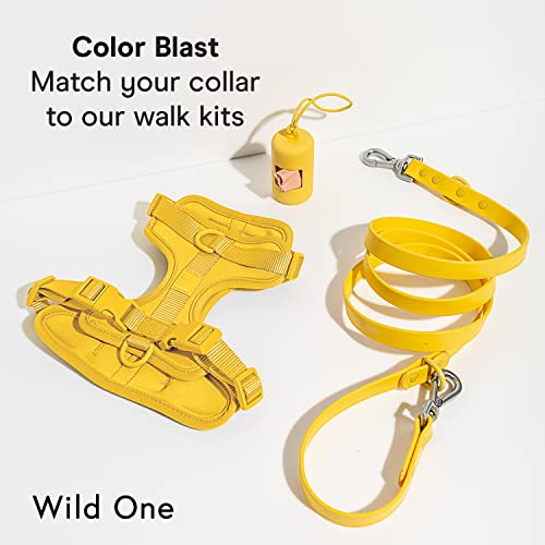 Wild One Dog Collar, Easy-Clean, All Weather Flex-Poly Strap with Metal, Durable, Dirt and Odor Resistant (Butter, M) - color: Butter, size: M