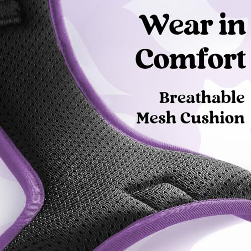 rabbitgoo Dog Harness Small Sized, No Pull Easy On & Off with 3 Buckles Pet Harness, Adjustable Soft Walking Vest with 2 Clips and Handle, Reflective for Small Dogs, Black & Purple, S - color: Black & Purple, size: Small