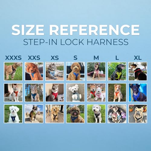 Best Pet Supplies Voyager Step-in Lock Pet Harness w Reflective Pet Leash Combo Set with Neoprene Handle 5ft - Supports Small, Medium and Large Breed Puppies/Cats - Black Set, XS - color: Harness Leash Set (Black), size: XS (Chest: 13 - 16")