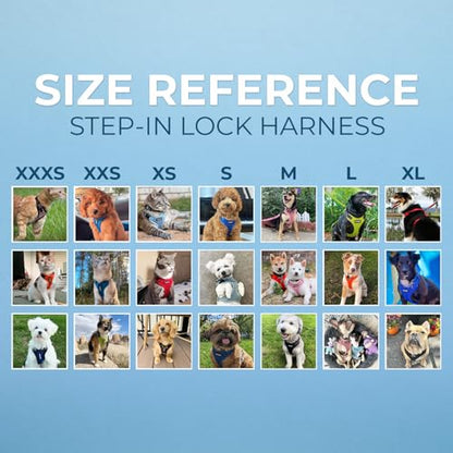 Best Pet Supplies Voyager Step-in Lock Pet Harness w Reflective Pet Leash Combo Set with Neoprene Handle 5ft - Supports Small, Medium and Large Breed Puppies/Cats - Black Set, XS - color: Harness Leash Set (Black), size: XS (Chest: 13 - 16")