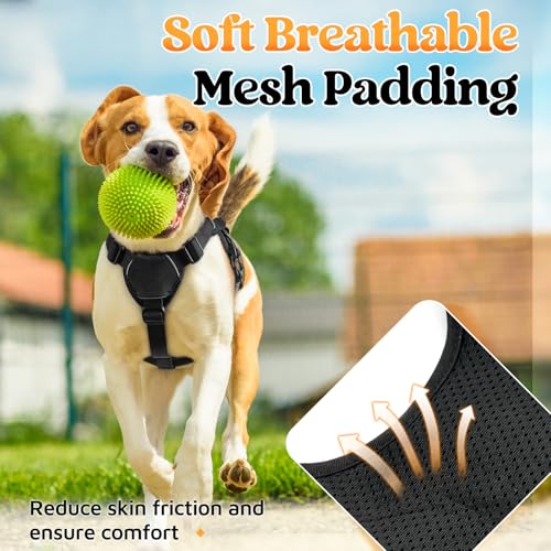 rabbitgoo Escape Proof Dog Harness, Soft Padded Full Body Pet Harness, Reflective Adjustable No Pull Vest with Lift Handle and Leash Clip for Large Dogs Walking Hiking Training, S, Black - color: Black, size: Small (Pack of 1)