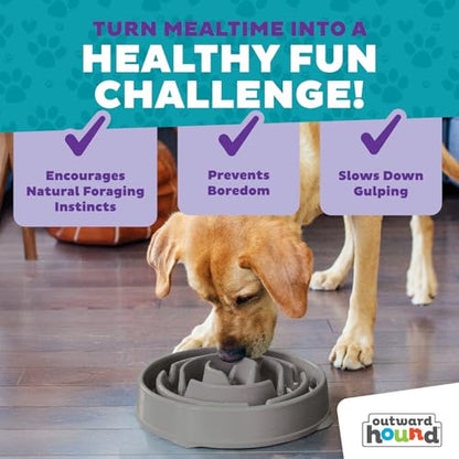 Outward Hound Fun Feeder Slo Bowl – Large 4‑Cup Capacity,Slow Feeding,Medium to Large Dogs,Non‑Slip,Gray,Drop Pattern,(Pack of 6) - color: Gray, size: Large (Pack of 6)