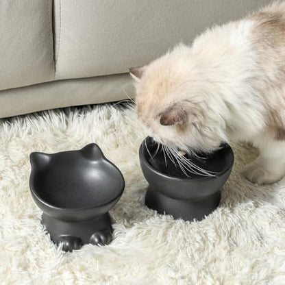 Nihow Elevated Cat Bowls,5 Inch Ceramic Raised Cat Food and Water Bowl Set | Slanted,Whisker Friendly,for Protecting Pet's Spine,Microwave & Dishwasher Safe ,Elegant Black 4.5 OZ, Set of 2 - color: Matte Black, size: 4.5 OZ+8 OZ
