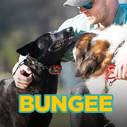 Dogtra Tom Davis Bungee Collar Comfortable Easy Fit Compatible with Tom Davis Edition 280C Dog Training E-Collar 3/4" Inch Strap Receivers - color: Bungee Strap Only - Black
