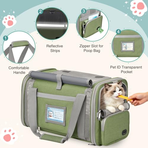 Soft Cat Carrier for Pets Up to 20 Lbs, Collapsible Cat Carrier Bag with Privacy Curtains, Airline Approved Small Pet Carrier for Small Medium Cats Dogs Puppy, Washable Soft Pet Travel Bag Dog Carrier - color: Grass Green