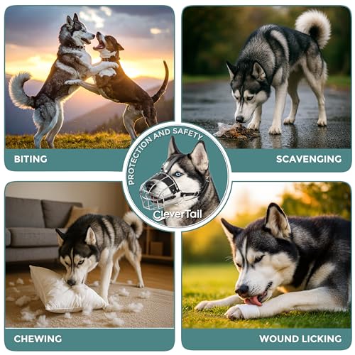 Metal Husky Muzzle for Large Sized Dog – Basket Muzzle for Dogs with Adjustable Leather Straps – Steel Cage Dog Muzzle to Prevent Biting and Eating – Mouth Guard for Large and Medium Dogs