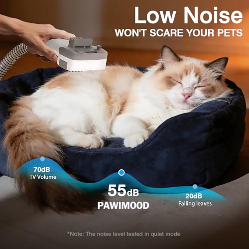 Dog Grooming Vacuum, 13000Pa & 2L Dust Cup & <55dB, 5-in-1 Self-Cleaning Pet Hair Vacuum with Spray Brush for Shedding, Quiet Deshedding Kit for Dogs Cats - color: Off-white