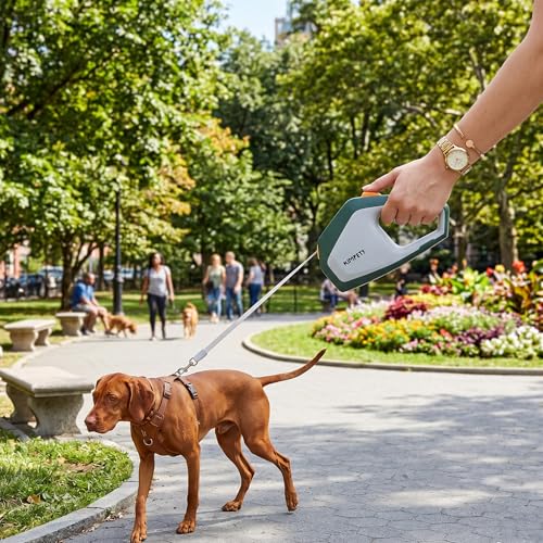 Yosoo Health Gear Retractable Dog Leash, 5m Nylon Rope Pet Leash with One Handed Brake, Pause, Lock for Outdoor Walking and Training (Green Grey) - color: Green Grey