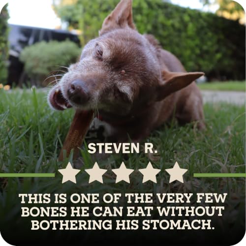 Redbarn Natural Dur-A-Bulls Treats for Dogs - 10 Medium Sticks - Hickory Flavor - Made in USA, Digestible Chew - size: 5 Count (Pack of 2), style: Medium Sticks
