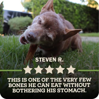 Redbarn Natural Dur-A-Bulls Treats for Dogs - 10 Medium Sticks - Hickory Flavor - Made in USA, Digestible Chew - size: 5 Count (Pack of 2), style: Medium Sticks
