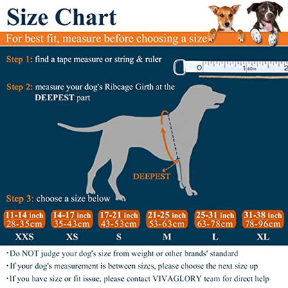 VIVAGLORY Rope Dog Leash + Dog Life Jacket, Neoprene Padded Handle Durable Strong for Small Medium Large Pets
