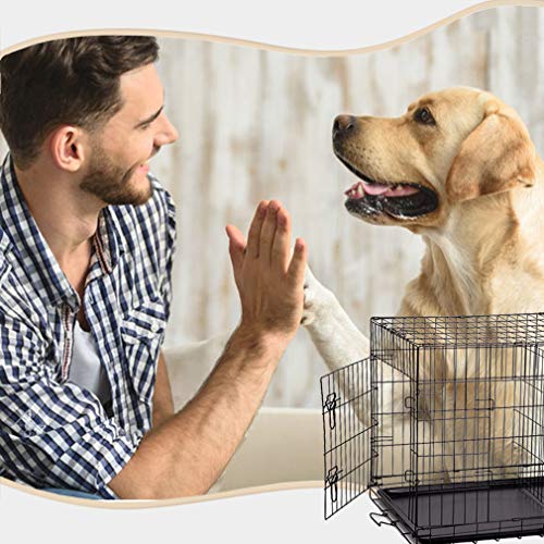 BestPet New Cat Dog cage Pet Kennel Folding Crate Wire Metal Cage W/Divider (48")