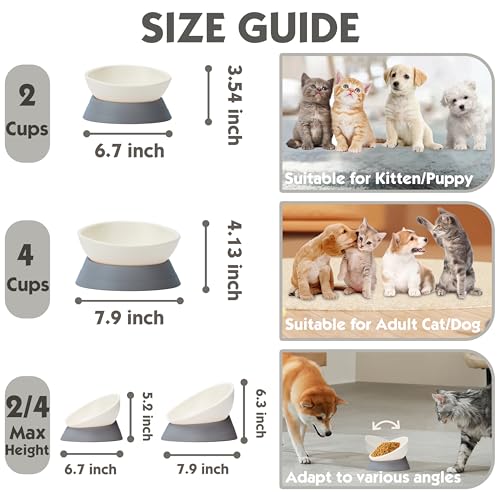 French Bulldog Food Bowl- Slanted Tilted Pug Food Water Bowl,Cat Bowl- Feeder for Frenchie/Shih Tzu/Flat Faced Small Dogs/Puppies/Cats (Grey, 4 Cup) - color: Grey, size: 4 Cup