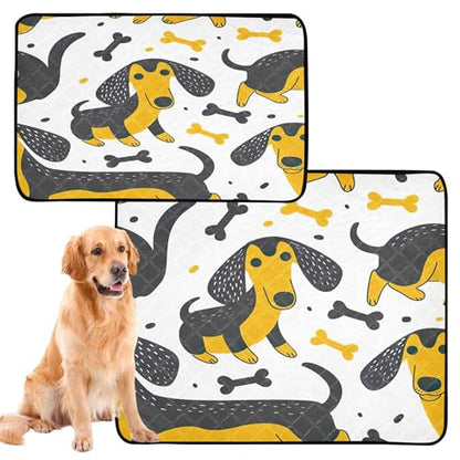 Qilmy Dogs Pet Mat, Waterproof Reusable Dog Training Pad Anti-Slip Pet Creat Pad for Small Medium Large Dogs and Cats - size: Medium+Large