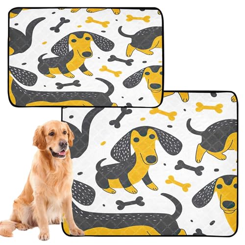 Qilmy Dogs Pet Mat, Waterproof Reusable Dog Training Pad Anti-Slip Pet Creat Pad for Small Medium Large Dogs and Cats - size: Medium+Large