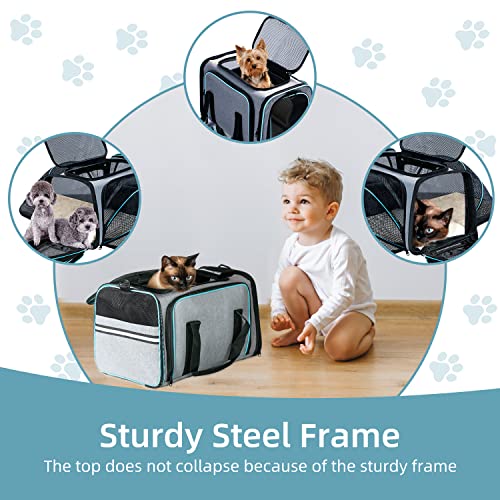 Cat/Dog Airline Approved Expandable Pet Carrier for Small Pets - Removable Pad, Pockets, TSA Compliant - size: 43.0"L x 32.0"W x 12.0"H