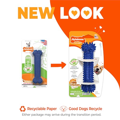 Nylabone Textured Dental Bone Flexi Chew Toy for Dogs, Dog Toys for Moderate Chewers, Chicken Flavor, Small - Up to 25 Ibs, 1 Count - size: Small
