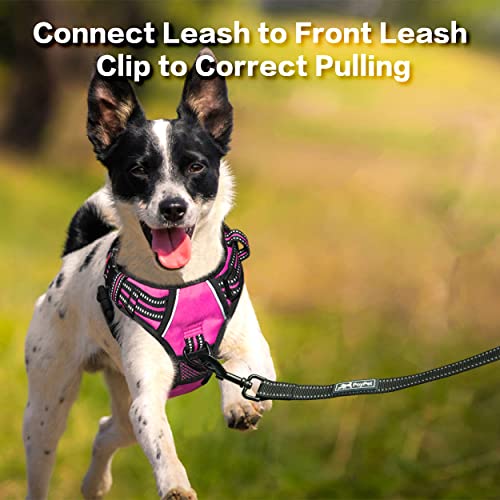 PoyPet No Pull Dog Harness, No Choke Front Clip Reflective Dog Vest with Soft Padded Vertical Handle, 3 Leash Attachments for Small Medium Large Dogs (Pink,L) - color: Pink, size: Large