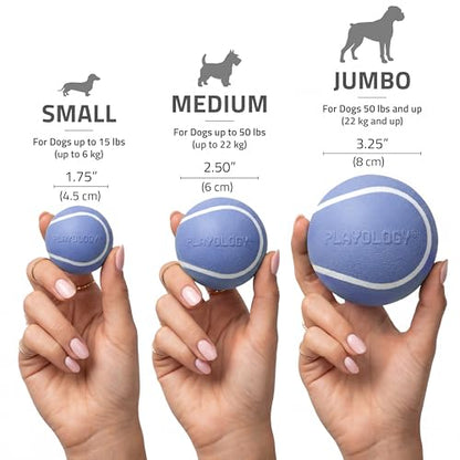 Playology Dog Toys | Squeaky Chew Ball for Large Dogs | Blueberry Scented Jumbo Dog Ball | Bouncy Floating Chew Toys for Fetch - size: Jumbo, style: Blueberry
