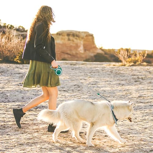 Retractable Dog Leash, Meekamar 30 FT Dog Walking Leash for Medium Large Dogs up to 77 lbs, Heavy Duty No Tangle, Large