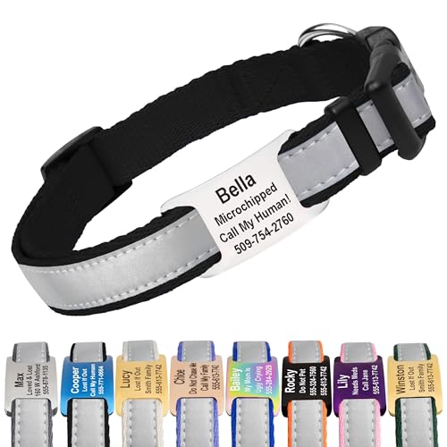 GoTags Reflective Personalized Dog Collar with Nameplate, Adjustable Dog Collar with Custom Engraved Steel Slide On Pet ID Tag, Silent, No Noise Dog Tag 66 Color Options (Reflective, X-Small) - color: Reflective, size: X-Small (Pack of 1)