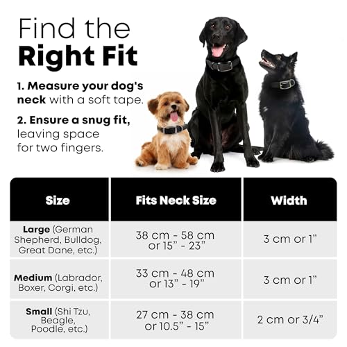 Regal Dog Products Large Black Reflective Dog Collar with Custom Engraved Name Plate and Heavy Duty Center Ring | Waterproof Biothane Personalized Dog Collars - Other Sizes for Small & Medium Dogs - color: Black, size: Large