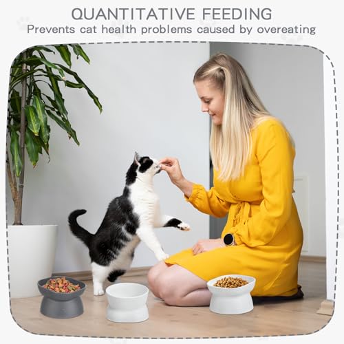 4 Pieces Plastic Tilted Elevated Cat Bowls Raised Cat Food Bowls Elevated Feeding Dish for Flat Faced Kitten Kitty Pets Supplies(White and Grey) - color: White and Grey