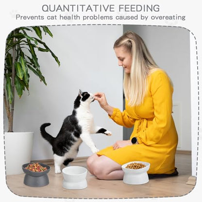 4 Pieces Plastic Tilted Elevated Cat Bowls Raised Cat Food Bowls Elevated Feeding Dish for Flat Faced Kitten Kitty Pets Supplies(White and Grey) - color: White and Grey