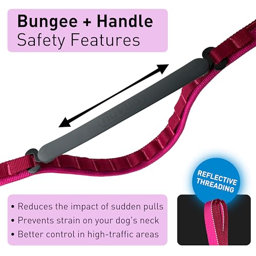 Cross Body Dog Leash - Waist or Shoulder Leash for Walking and Hiking with Medium and Large Dogs, Adjustable 4 to 6 FT Outdoor Bungee Lead with Traffic Handle by Nuvuq (18-120 lbs, Pink) - color: Raspberry Pink