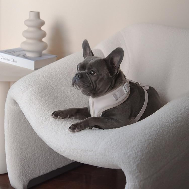 Premium No-Pull Dog Harness Soft Neoprene & Breathable Mesh Vest with Front & Back Clip D-Rings Adjustable Lightweight Walking Harness for Puppies, Small & Medium Dogs (Sand, XXS) - color: Sand, size: XXS: Neck=9.1-13'', Chest=10.6-14.6''