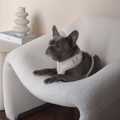 Premium No-Pull Dog Harness Soft Neoprene & Breathable Mesh Vest with Front & Back Clip D-Rings Adjustable Lightweight Walking Harness for Puppies, Small & Medium Dogs (Sand, XS) - color: Sand, size: XS: Neck 10.6-14.2'', Chest 14.2-18.9''