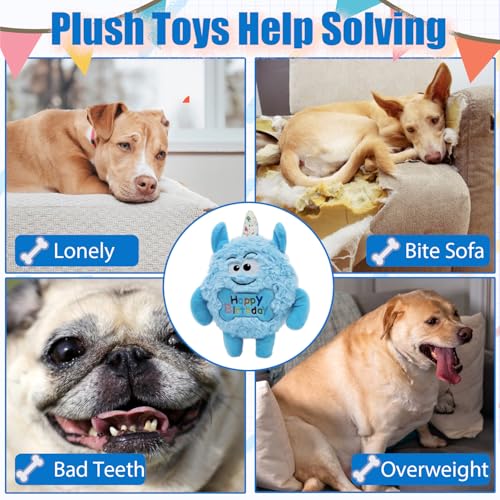 Plush Dog Birthday Toy for Girl Boy Gifts, Crinkle Squeaky Dog Toy Keep Them Busy Tug of War Stuffed Dog Chew Toy for Small Medium Large Dogs (Sky Blue) - color: Sky Blue