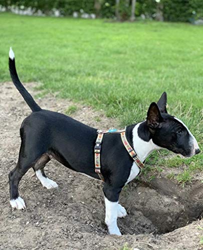 Max & Molly H Comfort Fit Dog Harness – Soft Neoprene Padding, Easy Step-In Design, Durable Metal Parts, Dual D-Rings for Enhanced Control – Perfect for Secure, Comfortable Walks - size: Large