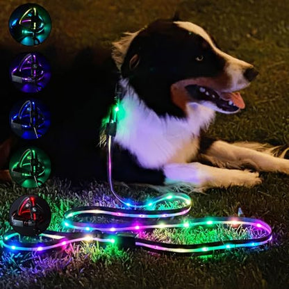Luminoid LED Dog Leash | 6 ft | USB Rechargeable | 12 Multi-Color Animated Effects | Ultra-Bright LEDs Light-up Leash Keeps You & Dog Safe - by Glowy Zoey