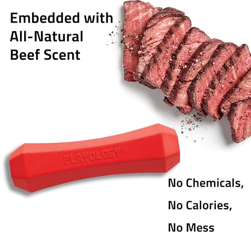 Playology Dog Toys | Squeaky Chew Stick for Large Dogs | Beef Scented Jumbo Fetch Toy | Squeaky Dog Chew Toy - size: Jumbo, style: Beef
