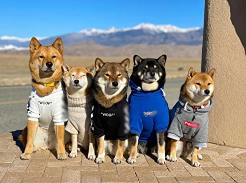 ChoChoCho Stylish Streetwear Blue Dog Sweatshirt Tracksuits, Cats Hoodies, Dog Outfit for Cat Puppy Small Medium (5XL) - color: Pawlenciaga, size: 5XL (Chest: 32.3''-36.6'' / Suggest: 89-139 lbs)