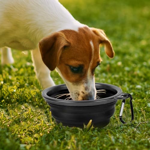 Dog Bowl Pet Collapsible Bowls for Travel，1 Pack for Cats Dogs Pets, BPA Free Portable Feeding Watering Dish Water with 1 Carabiner for Traveling Camping Walking - color: 1P-Black, size: Diameter 9"/350 Ml