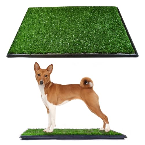 Downtown Pet Supply Dog Grass Pad with Tray, 20 x 25 - Outdoor and Indoor Potty System for Dogs with Replaceable Synthetic Grass Pee Turf - Portable and Waterproof Turf Dog Potty - size: 20" x 25"