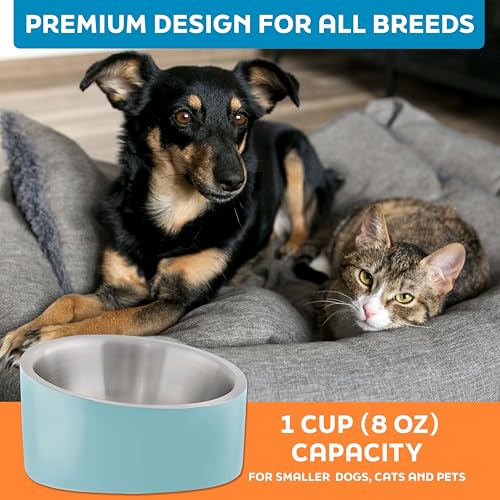 Master Pet Supply Stainless Steel Slanted Dog Cat Food Bowl - 8 oz Heavy Duty - Aqua Sky, Double Wall Insulated, Non-Slip Elevated Bowl for French Bulldogs Pugs Cats, Anti Rust Dishwasher Safe - color: Aqua Sky, size: 1 Cup (8 oz)