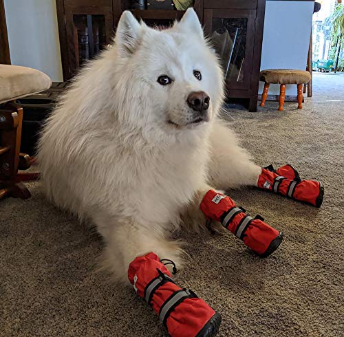 URBEST Dog Shoes, Waterproof Dog Boots, Christmas Warm Lining Nonslip Rubber Sole for Snow Winter Use for Medium and Large Dogs (S, Red) - color: Red