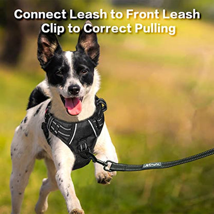 PoyPet No Pull Dog Harness, No Choke Front Clip Reflective Dog Vest with Soft Padded Vertical Handle, 3 Leash Attachments for Small Medium Large Dogs (Black,L) - color: Black, size: Large