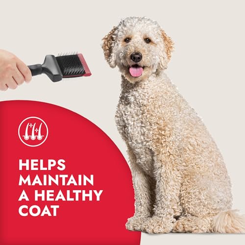 KONG Double-Sided Flexible Slicker Brush – De-Shedding & Detangling Tool, Padded Grip, Long Metal Pins, Flexible Head, for Medium to Large Dogs with Medium to Long Coats, Red/Gray - size: Medium Double-Sided Flexible Slicker