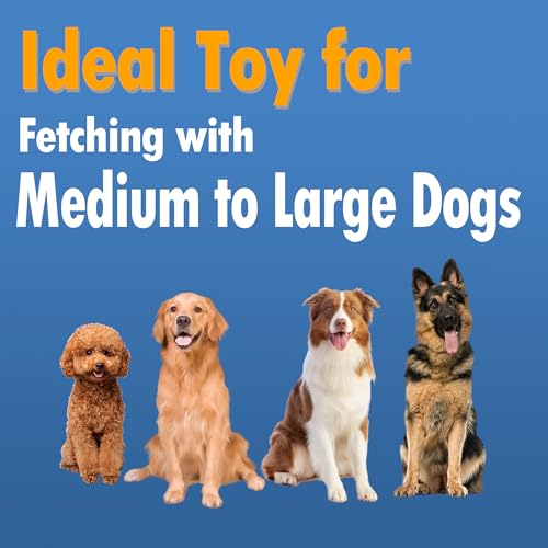 Dog Flying Disc, Outdoor Dog Toys, Dog Fetch Toy, Dog Toy for Medium Dogs and Large Dogs, Lightweight Soft Frisbee for Fetch, Tug of War, Catch, Play, 9 inch, Magenta - color: Magenta