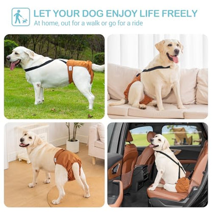 Avont 3 Pack Washable Female Dog Diaper with 1 Suspender, Reusable Girl Doggie Underwear Pants for Heat Cycle Period Incontinence Detachable Strap -Brown/Black/Grey S - size: S