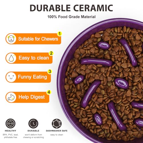 Ceramic Slow Feeder Dog Bowl, 2 Cups Dog Food Bowls for Small, Medium, and Large Breed, Anti-Slip Puzzle Food Dish to Slow Down Eating (Deep Purple, 2 Cups) - color: Maze - Deep purple