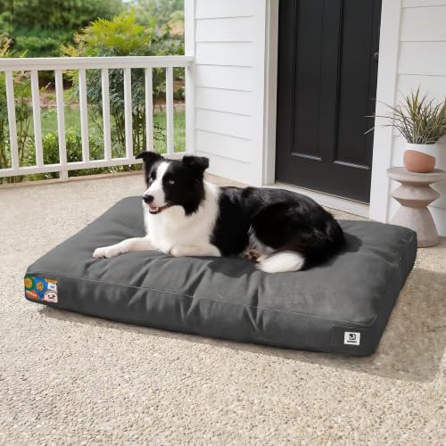 Sytopia 36 Inch Indestructible Canvas Outdoor Durable Dog Bed for Large Dogs, Chew Proof Shredded Chopped Foam Patio Pet Pad for Crate with Waterproof Machine Washable Removable Cover, Dark Grey - color: Dark Grey, size: Large