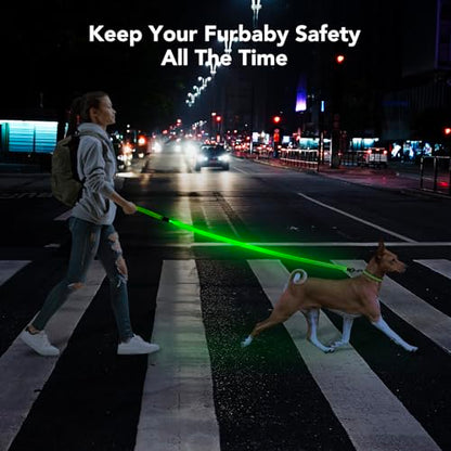Colaseeme LED Light Up Dog Leash, USB Rechargeable (4FT,Green-New) | Glow in dark, reflective, USB-C rechargeable, bright LED for night safety, fits small to large dogs - color: Green (New), size: 4FT