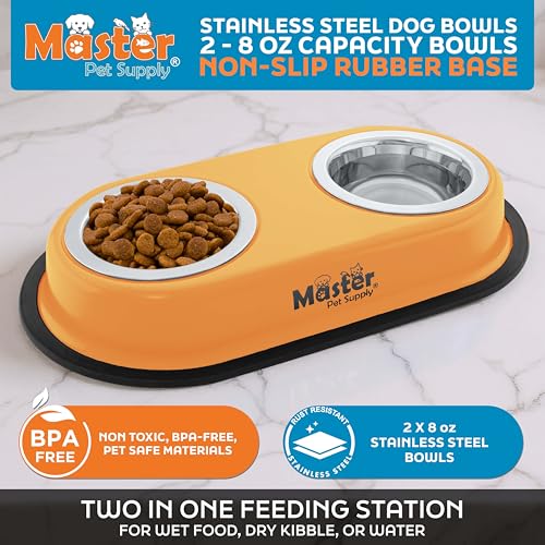 Master Pet Supply Double Dog Bowls Set with Elevated Base and 2 (8 oz) Stainless Steel Removable Dishes (Mango Tango) – Double Cat Food Water Bowl, Dog Puppy Food Bowl Set, Rust Resistant - color: Mango Tango