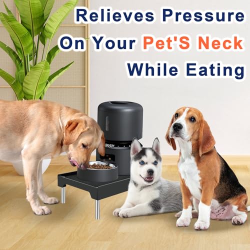 Beautyflier Raised Dog Feeder Stand Elevated Holder for Automatic Cat & Dog Feeders Pet Water Bowl Dispenser Stand Adjustable Fits Small Jugs Holds 5KG, Black (Holder ONLY) - color: Black